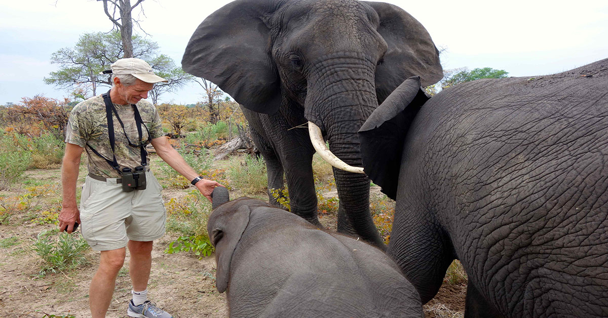 /globalassets/news/news-center/_blogmigrationfiles/how-the-world-wildlife-fund-uses-thermal-equipped-drones-in-africa/africa-botswana-abu-gp-with-elephants-photo-by-mike-chase-sm-dsc011332.jpg
